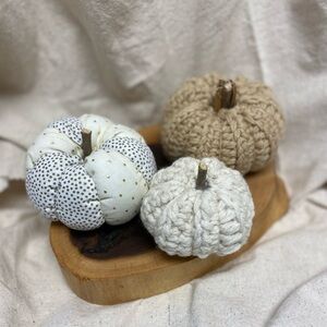 Fall neutral pumpkin set of 3